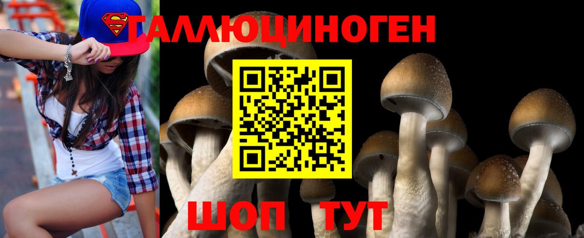 Галлюциногенные грибы Magic Shrooms  Вход с VPN  Ейск 